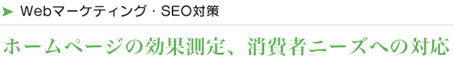 Webマーケティング